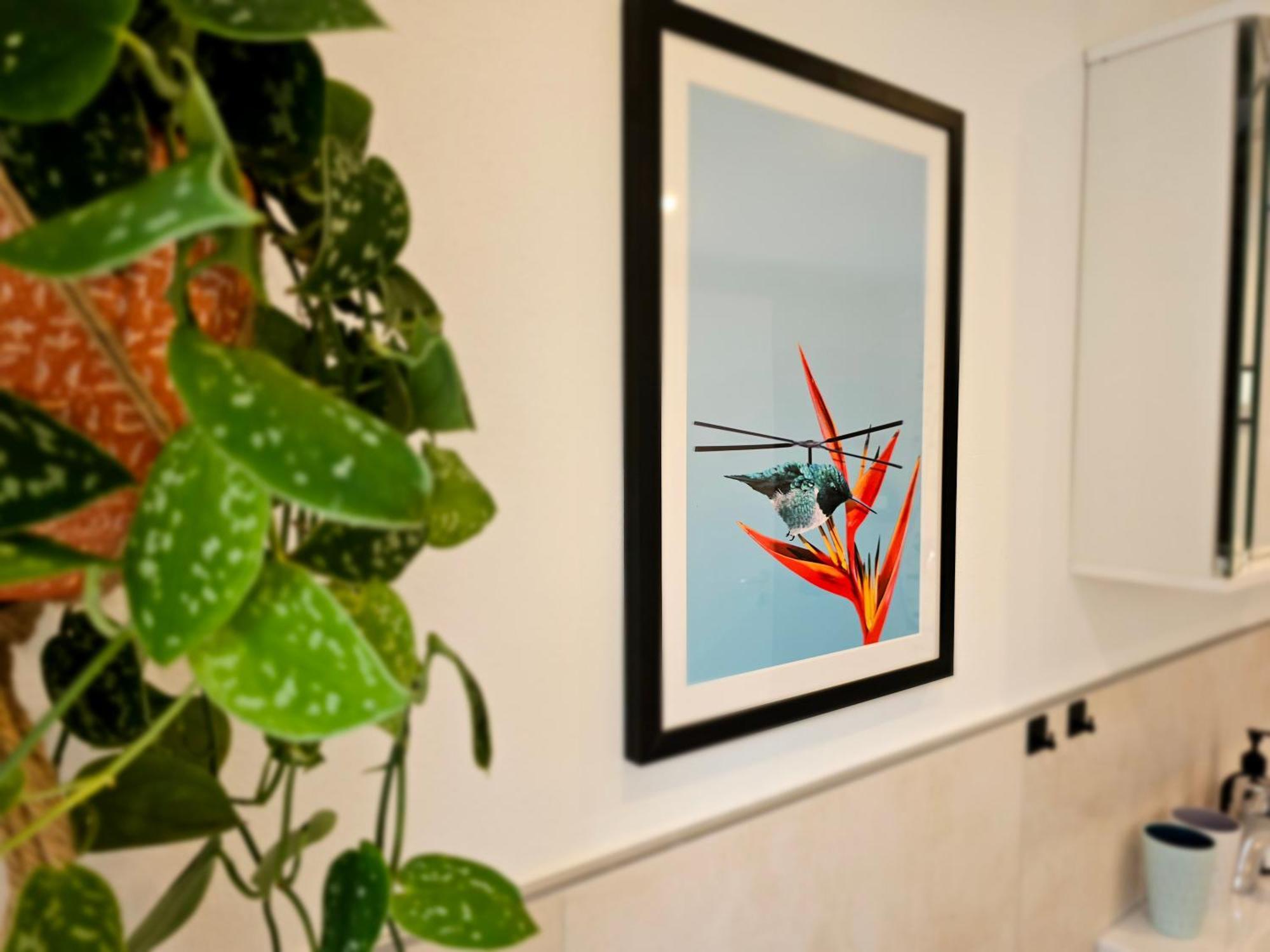 Kolibri - Design Maisonette - Nintendo Switch, Streaming, Bikestore, E-Wallbox Marburg Kültér fotó