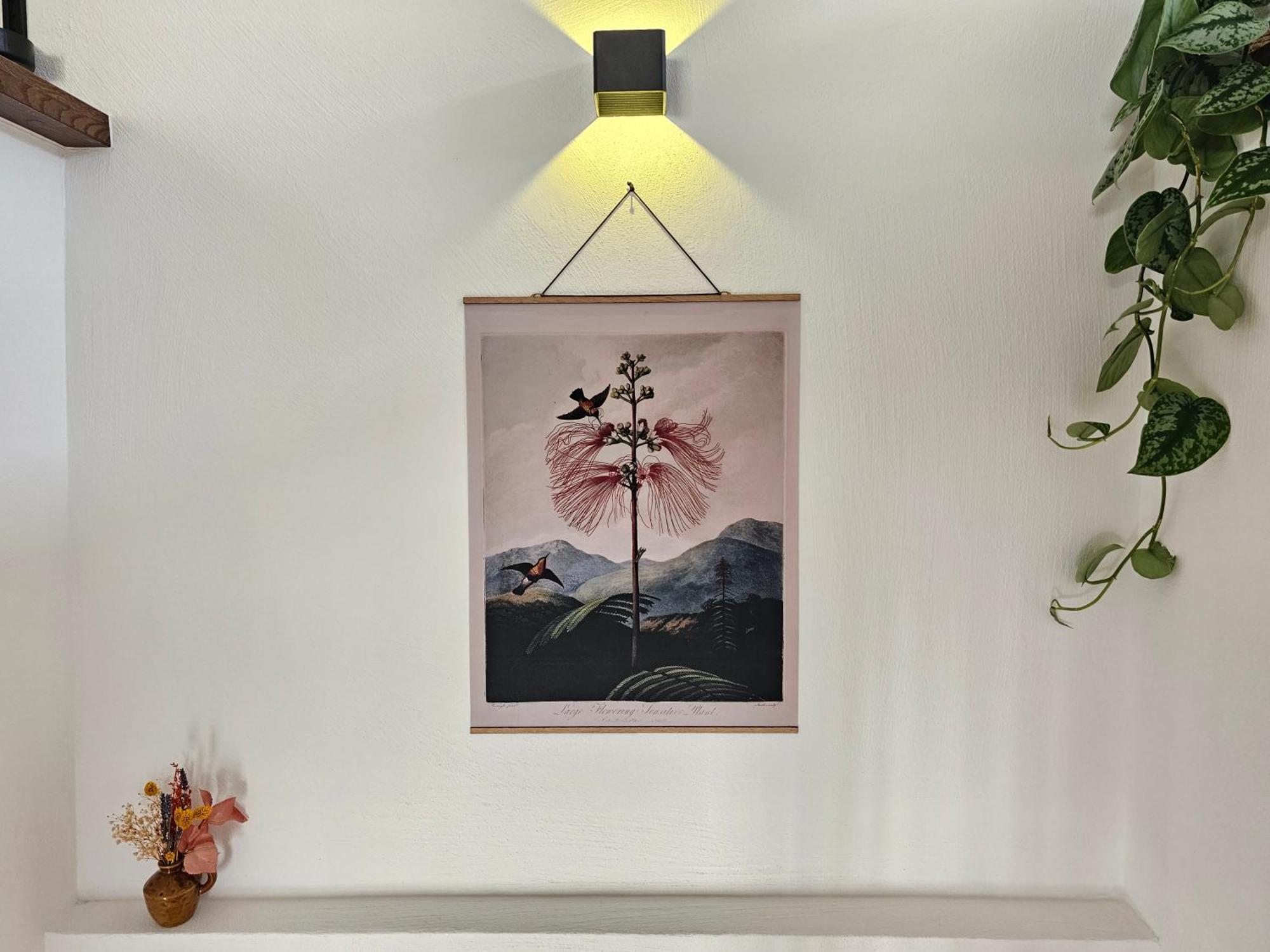 Kolibri - Design Maisonette - Nintendo Switch, Streaming, Bikestore, E-Wallbox Marburg Kültér fotó